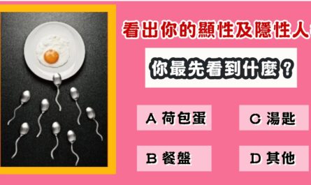 第一眼看見，心靈測驗，顯性人格，隱形人格，心理測驗，星座寶寶