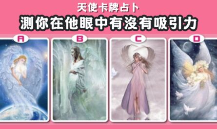 天使，塔羅牌，在他眼中，有沒有，吸引力，心理測驗，星座寶寶