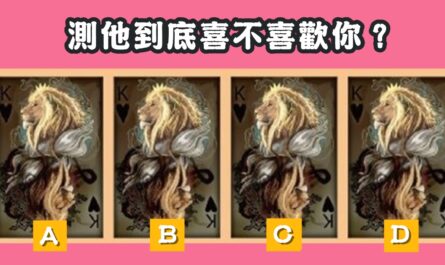 憑直覺，塔羅牌，到底，喜不喜歡，你我他，心理測驗，星座寶寶