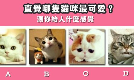 憑直覺，貓咪，最可愛，給人，什麼，感覺，心理測驗，星座寶寶