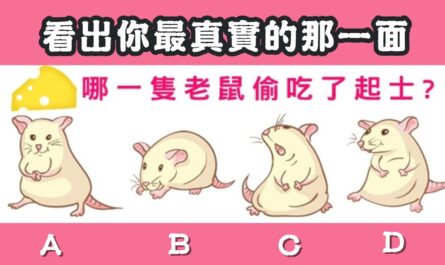 瘋傳測試，老鼠，真實一面，心理測驗，星座寶寶