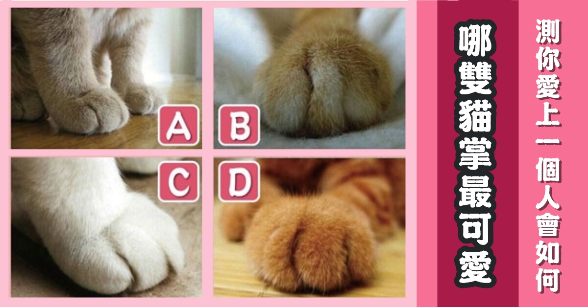 最喜歡，貓掌，最可愛，愛上，一個人，如何，心理測驗，星座寶寶