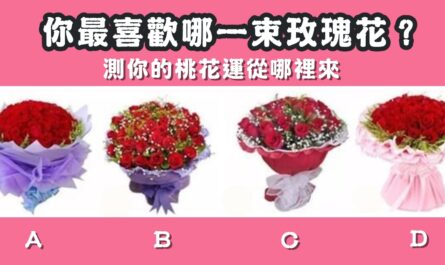 最喜歡，玫瑰花，桃花運，哪裡來，心理測驗，星座寶寶