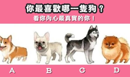最喜歡，一隻狗，內心，最真實，真實性格，心理測驗，星座寶寶