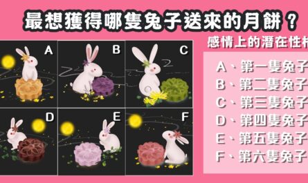 中秋節，兔子，月餅，感情上，潛在性格，心理測驗，星座寶寶