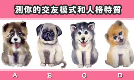 超準，憑直覺，狗狗，交友模式，人格特質，心理測驗，星座寶寶