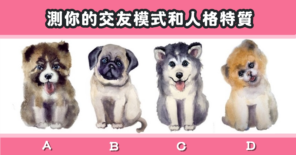 超準，憑直覺，狗狗，交友模式，人格特質，心理測驗，星座寶寶