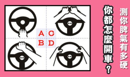 日常生活，怎樣，開車，脾氣，有多硬，心理測驗，星座寶寶