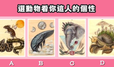 動物世界，占卜，個性，有多好，心理測驗，星座寶寶
