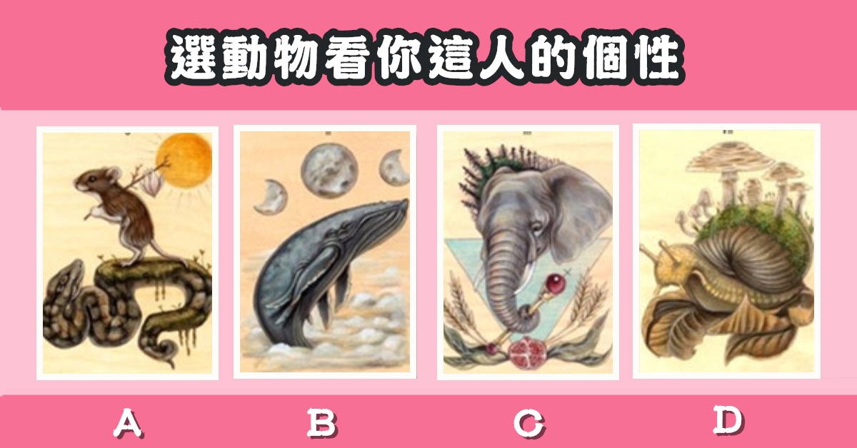 動物世界，占卜，個性，有多好，心理測驗，星座寶寶