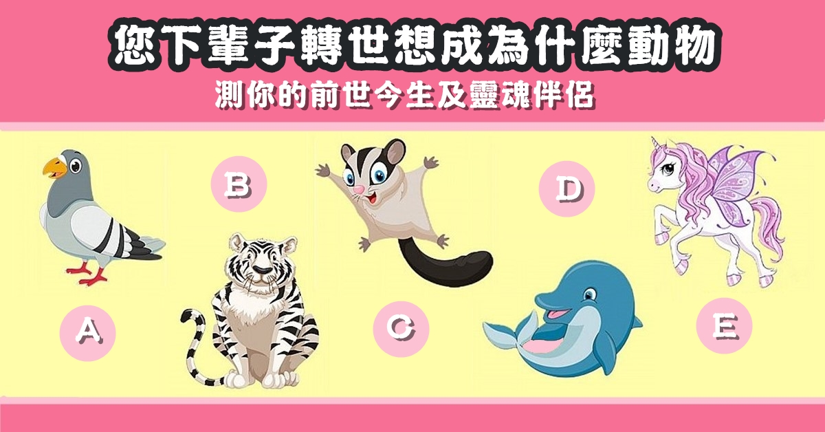 下輩子，轉世，成為，動物，前世，今生，靈魂伴侶，心理測驗，星座寶寶