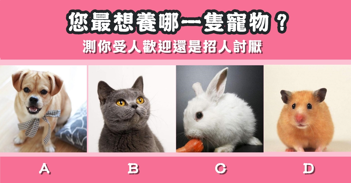 最想要，寵物，受人歡迎，招人討厭，心理測驗，星座寶寶
