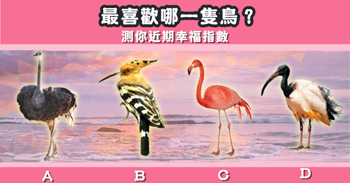 最喜歡，小鳥，近期，幸福，指數，心理測驗，星座寶寶