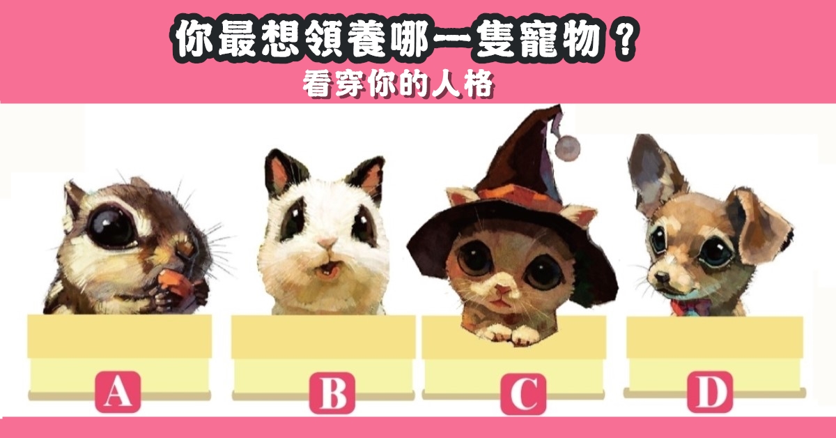 最想養，寵物，看穿，人格，心理測驗，星座寶寶