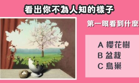 第一眼，看到什麼，不為人知，樣子，性格，心理測驗，星座寶寶