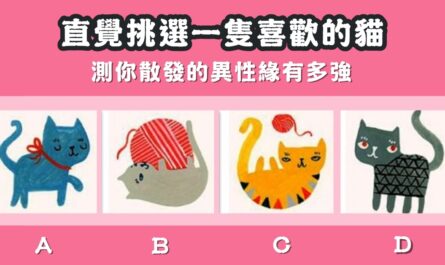 最喜歡，一隻貓，散發，異性緣，有多強，心理測驗，星座寶寶