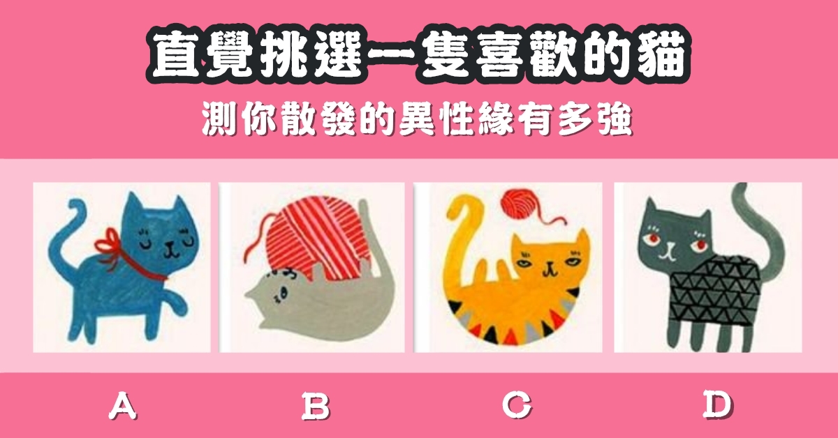 最喜歡，一隻貓，散發，異性緣，有多強，心理測驗，星座寶寶