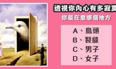 最在意，哪個地方，透視，內心，有多寂寞，心理測驗，星座寶寶