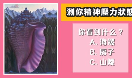 第一眼，看見，什麼，精神壓力，狀態，心理測驗，星座寶寶