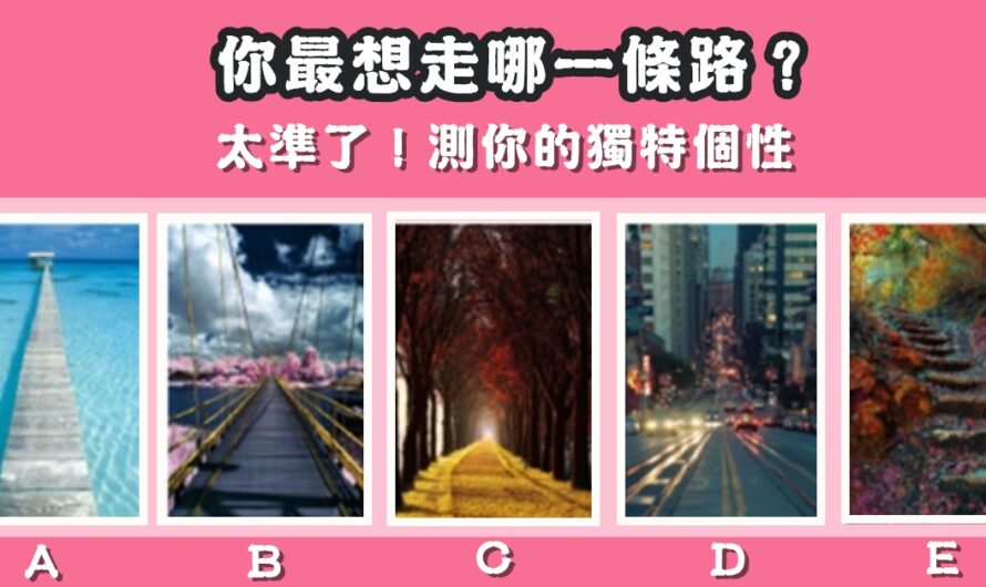 【最想走哪一條路】測您的獨特個性