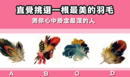 神奇，羽毛，心中，掛念，最深的人，心理測驗，星座寶寶