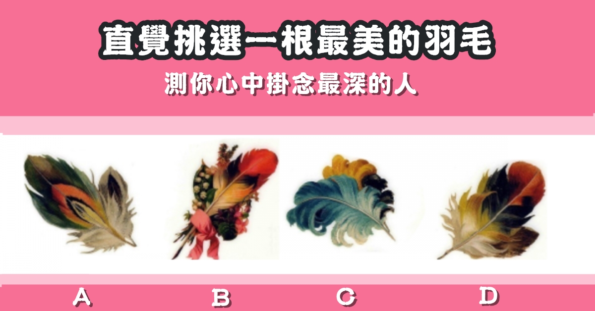 神奇，羽毛，心中，掛念，最深的人，心理測驗，星座寶寶