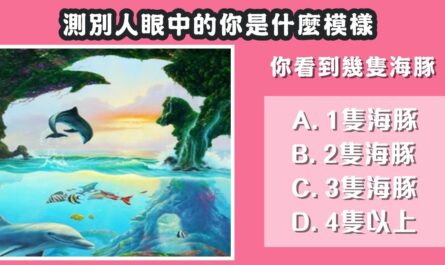 看到，幾隻海豚，別人眼中，你的模樣，心理測驗，星座寶寶