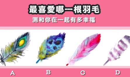 最喜愛，羽毛，和你，在一起，多幸福，心理測驗，星座寶寶