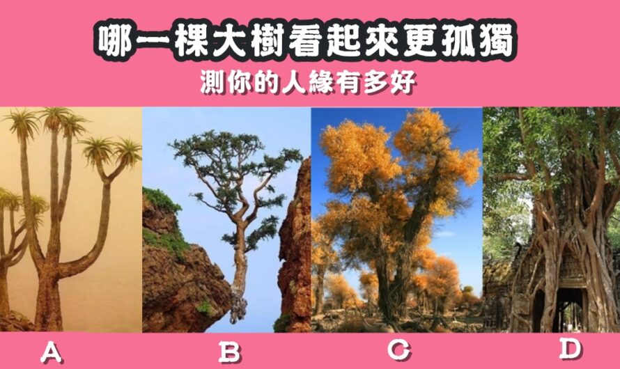 【哪棵大樹看起來更孤獨】測您的人緣如何