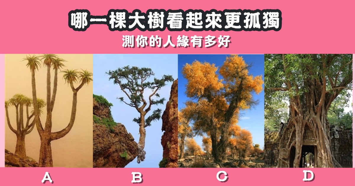 憑直覺，大樹，更孤獨，人緣，有多好，心理測驗，星座寶寶