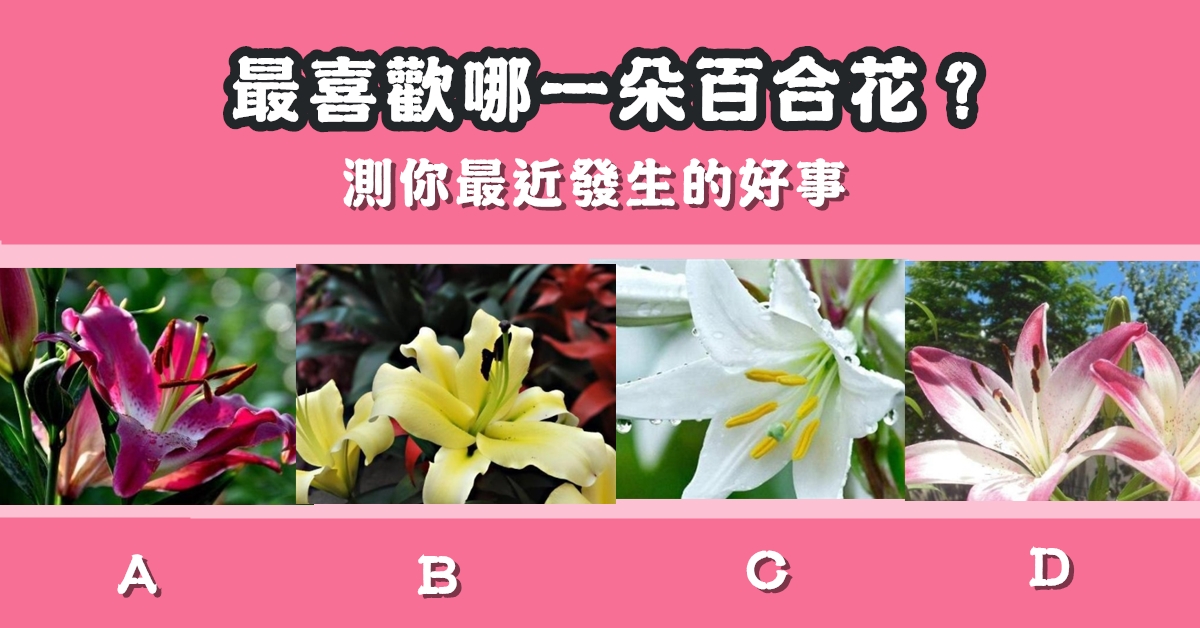 最喜歡，百合花，最近，發生，好事，心理測驗，星座寶寶