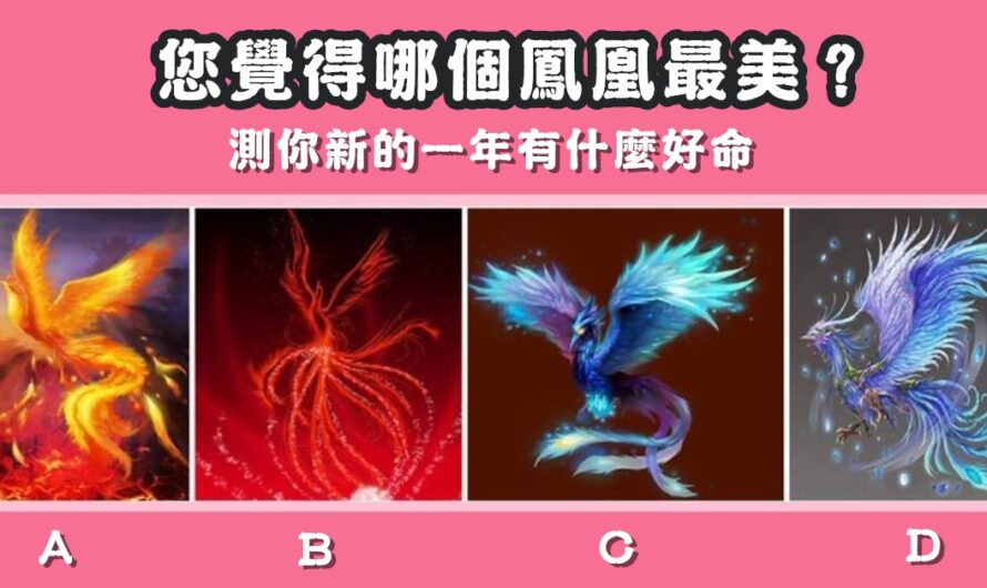 【您覺得哪個鳳凰最美】測新的一年有什麼好命