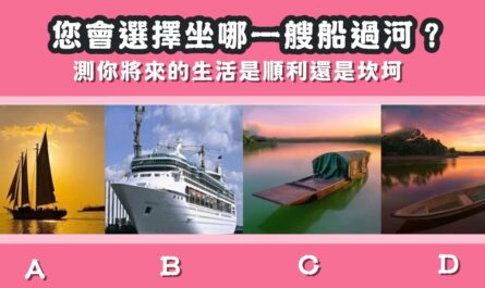 選擇，一艘船，過河，將來，生活，順利，坎坷，心理測驗，星座寶寶