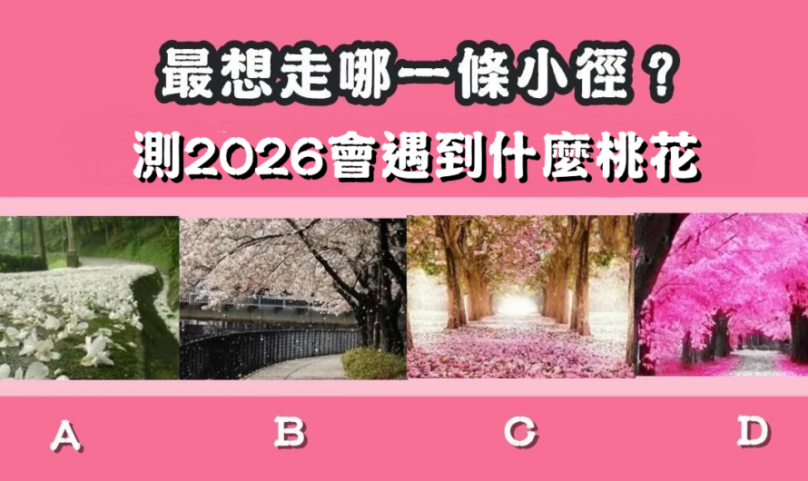 【最想走哪一條小徑】測2026會遇到什麼桃花