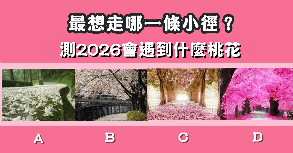 最想走，小徑，2026年，桃花，物件，心理測驗，星座寶寶