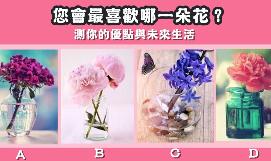 【最喜歡哪一朵花】測優點與未來生活