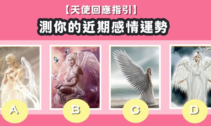 【天使回應指引】測近期感情運勢