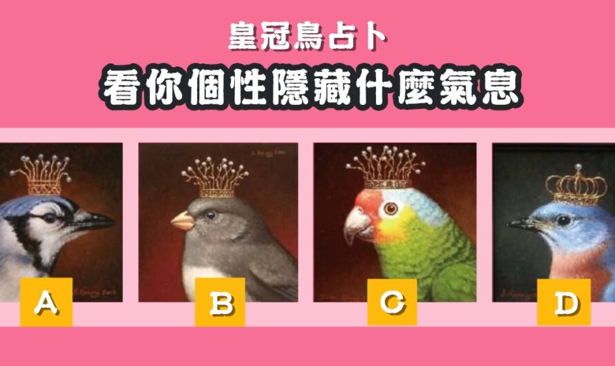 【皇冠鳥占卜】看您個性隱藏什麼氣息