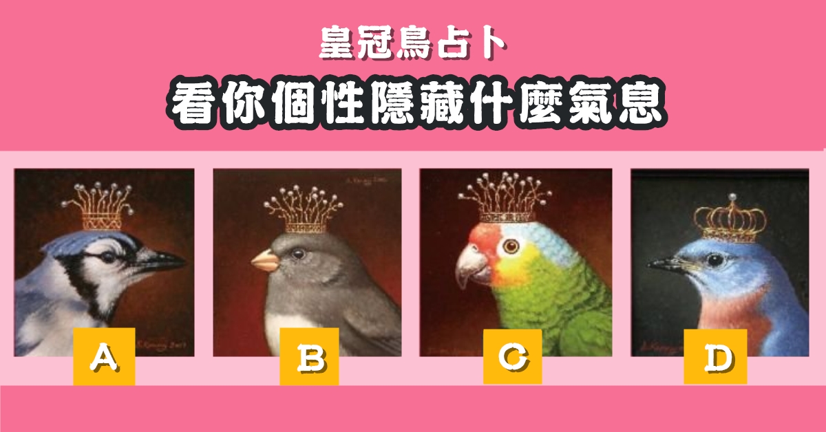 皇冠鳥，占卜，個性，隱藏，氣息，心理測驗，星座寶寶
