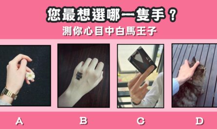 最喜歡，一隻手，心目中，白馬王子，心理測驗，星座寶寶