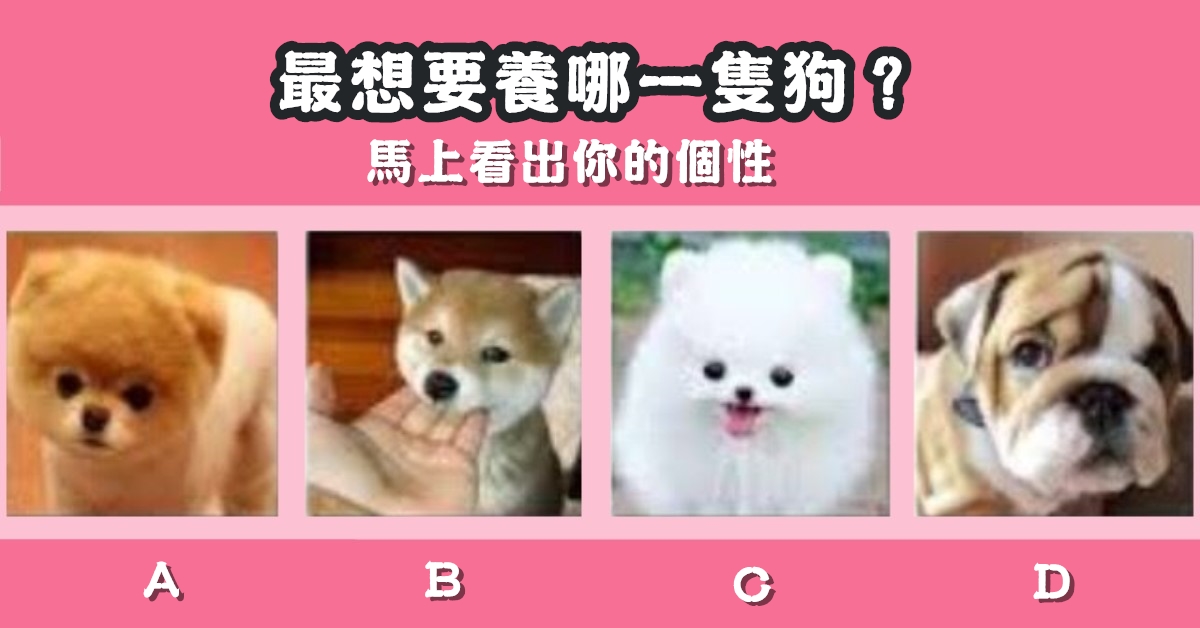 最想要，領養，狗狗，看出，個性，心理測驗，星座寶寶