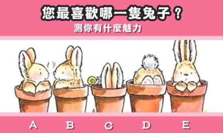 最喜歡，兔子，魅力，心理測驗，星座寶寶