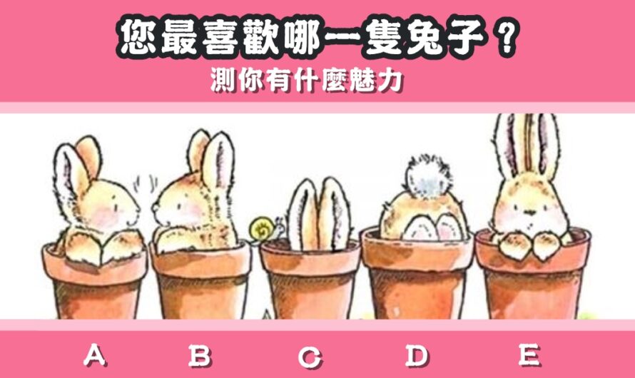 【最喜歡哪一隻兔子】測您有什麼魅力