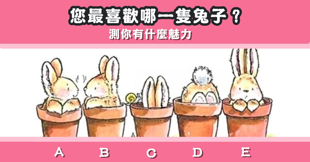 最喜歡，兔子，魅力，心理測驗，星座寶寶
