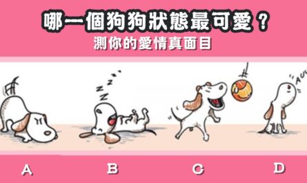 憑直覺，狗狗，最可愛，狀態，愛情，真面目，心理測驗，星座寶寶