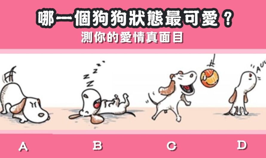 【哪個狗狗狀態最可愛】測您的愛情真面目