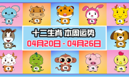 12生肖，十二生肖，本週運程，本週運勢，整體運勢，愛情運勢，工作運勢，財運運勢，星座宝宝