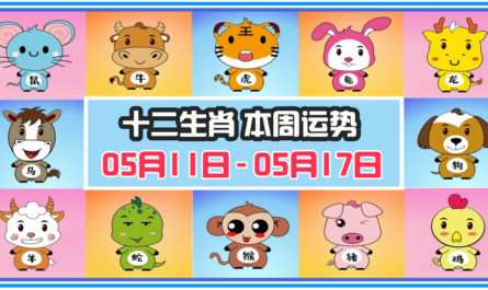 12生肖，十二生肖，本週運程，本週運勢，整體運勢，愛情運勢，工作運勢，財運運勢，星座宝宝